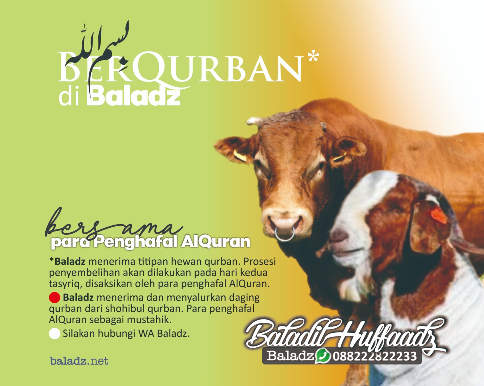 WhatsApp Image 2025-05-26 at 09.42.01_15a13ad7 WhatsApp Image 2025-05-26 at 09.42.01_15a13ad7